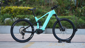EM10-250W-Carbon-Fully-Middle