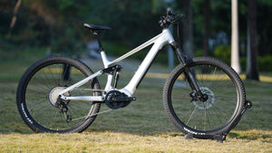CYCDEER-48V 500W-EM6-High