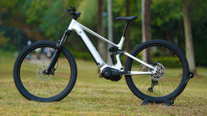 CYCDEER-48V 500W-EM6-High