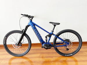 48V-250W-Alu-Fully-Recon