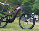 EM10-250W-Carbon-Fully-Primary